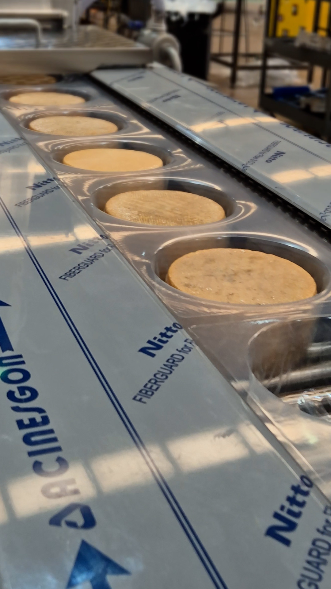 Termoformadora de quesos